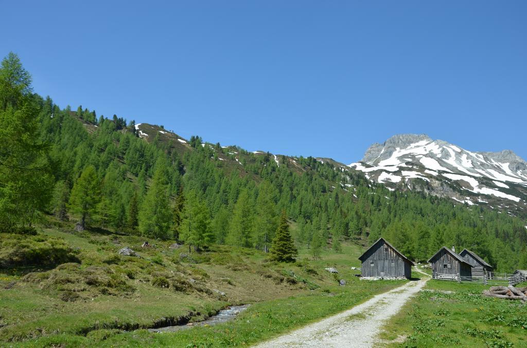 Appartamento Urlaub Am Kraeutlhof In Mariapfarr Camera foto
